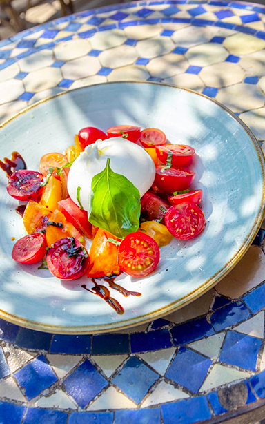 Gastronomie - Terroir
